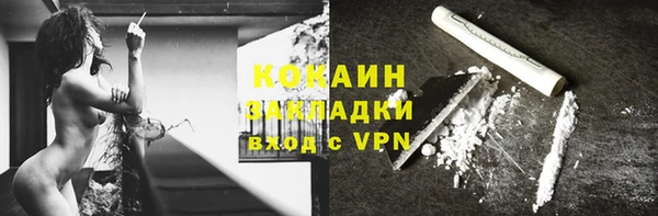 гидра Няндома