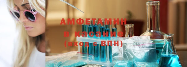 стаф Аркадак