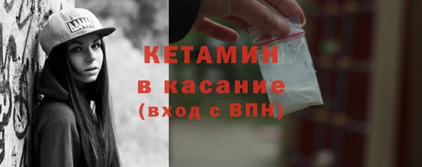 стаф Аркадак