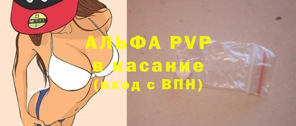стаф Аркадак