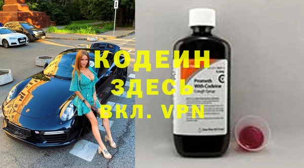 стаф Аркадак
