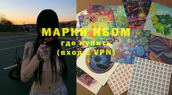 стаф Аркадак