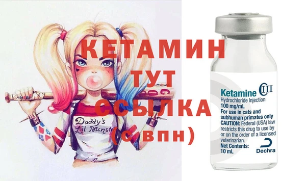 стаф Аркадак