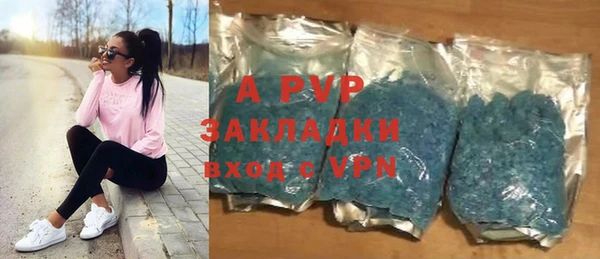 стаф Аркадак