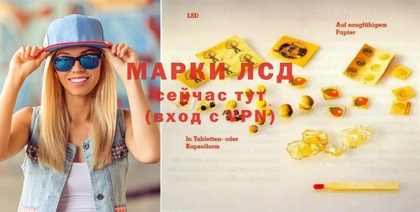 стаф Аркадак