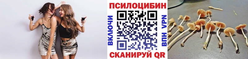 Псилоцибиновые грибы MAGIC MUSHROOMS  Белокуриха 